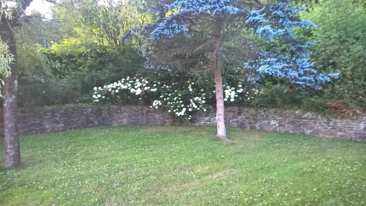 B&B Le Nid Doux Vresse-sur-Semois Eksteriør billede